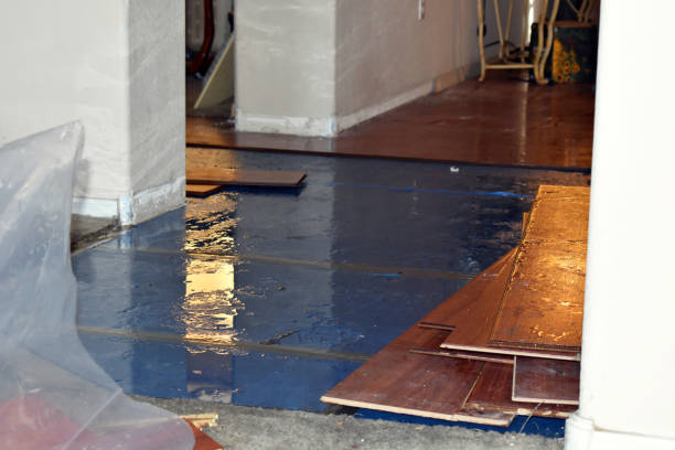 Professional Water Damage Restoration technician working in Boston, IN